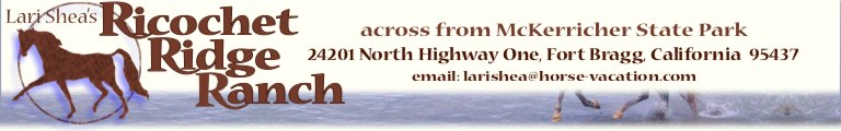 Ricochet Ridge Ranch